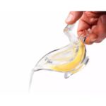Kuş Şeklinde Sunumluk Limon Sıkacağı - Görsel 2